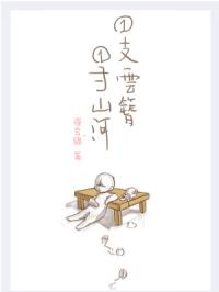 一支云簪一寸山河