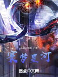 寰梦星河