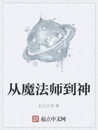从魔法师到神