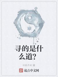 寻的是什么道？