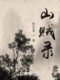 山贼录
