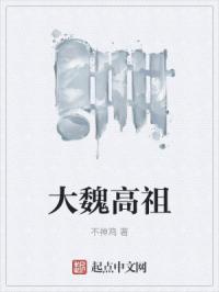 大魏高祖