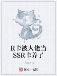 R卡被大佬当SSR卡养了