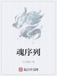 魂序列
