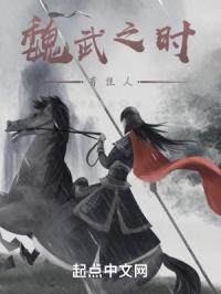 魏武之时有佳人