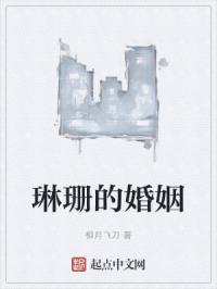 琳珊的婚姻
