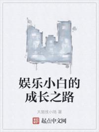 娱乐小白的成长之路