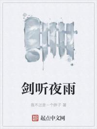 剑听夜雨