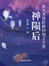 神陨后我从冥界打拼回到了天界