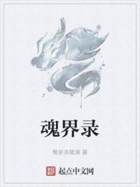 魂界录