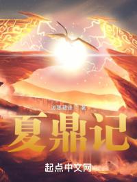 夏鼎记