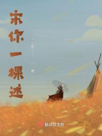 宋你一棵述