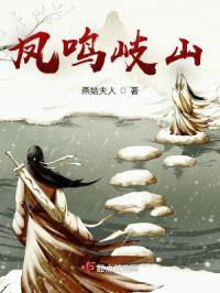 剑武大陆之凤鸣岐山