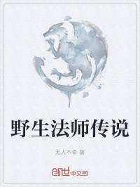 野生法师传说