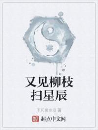 又见柳枝扫星辰