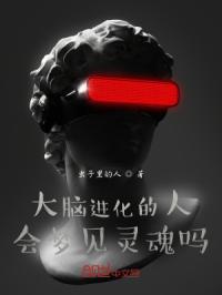 赛博混乱
