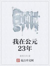 我在公元23年
