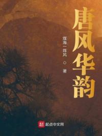 唐风华韵