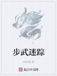 步武迷踪