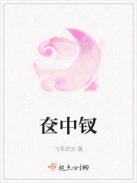 奁中钗