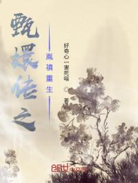 甄嬛传之胤禛重生
