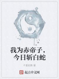 我为赤帝子，今日斩白蛇