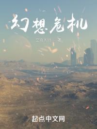 幻想危机