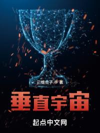 垂直宇宙