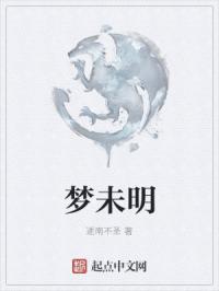 梦未明