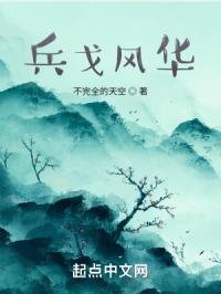 兵戈风华