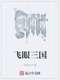 飞眼三国
