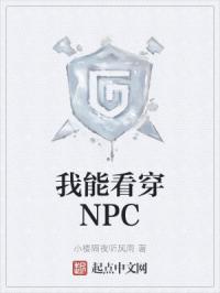 我能看穿NPC