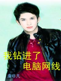 我钻进了电脑网线