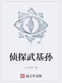 侦探武基孙