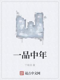 一品中年