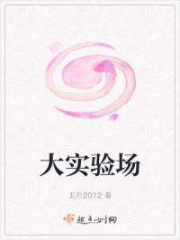 大实验场