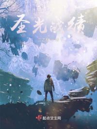 圣光战绩