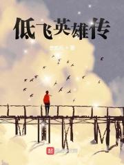 低飞英雄传
