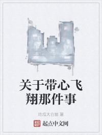 关于带心飞翔那件事