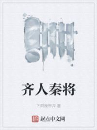 齐人秦将