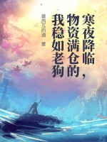 寒夜降临，物资满仓的我稳如老狗