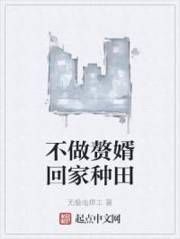 不做赘婿回家种田
