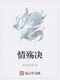 情殇决