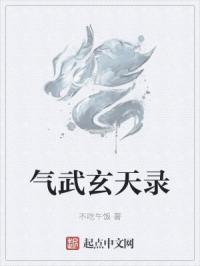 气武玄天录