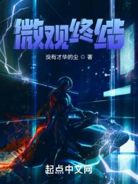 微观终结