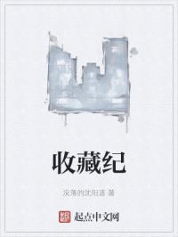 收藏纪