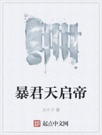 暴君天启帝